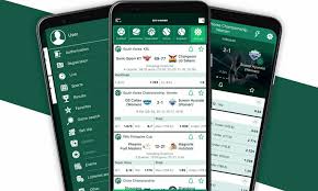 Play Aviator at BetWinner - A Thrilling Experience Awaits